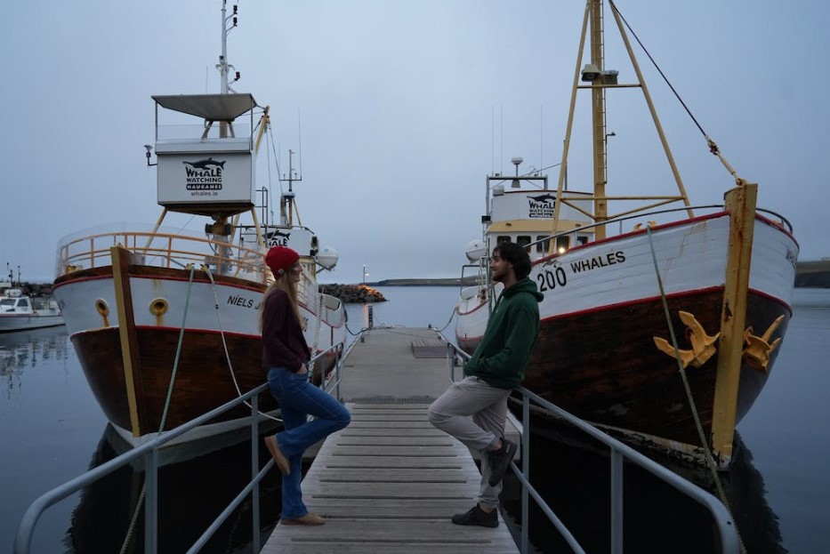 barcos avistamiento ballernas ruta de 7 días en Islandia
